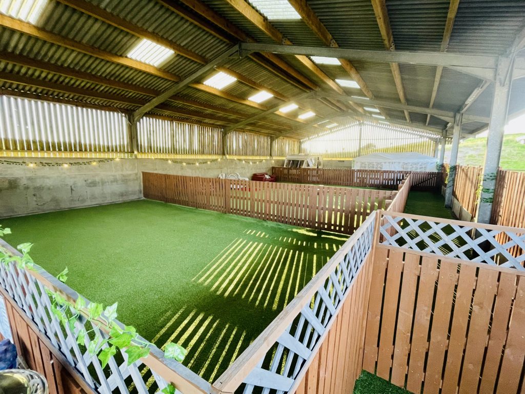 Safe, secure and comfortable dog daycare space