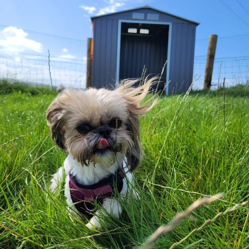 259027b0-8a7c-48d8-8199-1e2919af488e