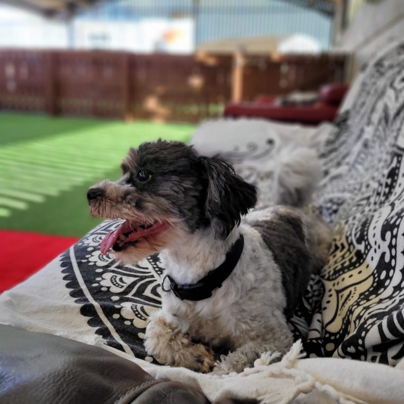 e879f6c2-8211-4eed-bea3-586802a26d75